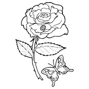 rose colouring page