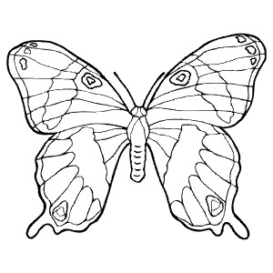 Hokey Pokey - Printable Coloring pages - Coloring Book